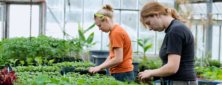 Two students in a greenhouse