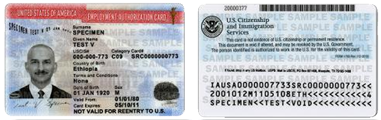 Approved Deferred Action Card Example