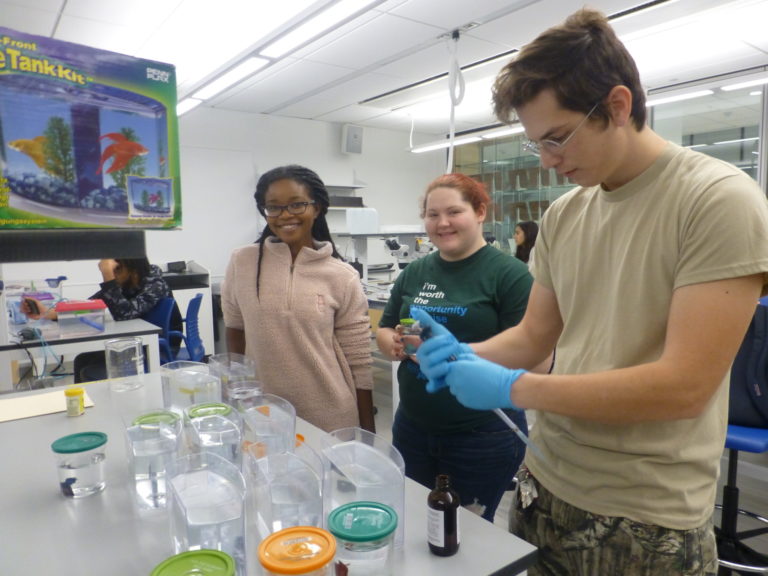 Experimental Zoology students setting their experiment