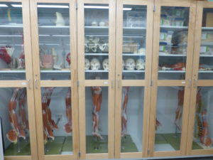 P1030892 A&P cabinet
