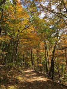 indian fort trails