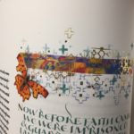 Common butterfly Galatians 3:23-29 Now Before Faith Came