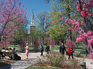 Springtime scenery on campus