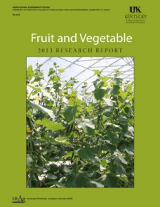 fruit-and-vegetable Fruit and Vegetable