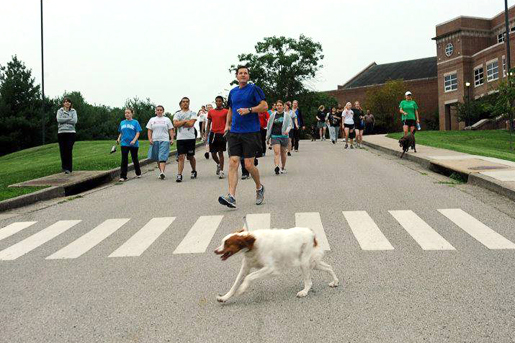 President's dog joining a run