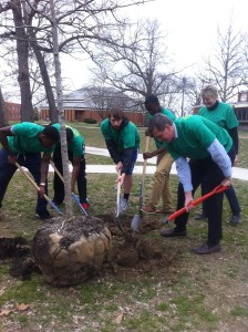 Laurie and I are joined by members of the men's basketball team to plant trees to offset carbon emissions as part of the Green Game project.