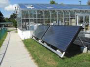 Solar panels next to a greenhouse