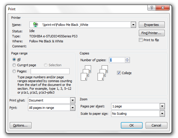 Screenshot of print options on a computer