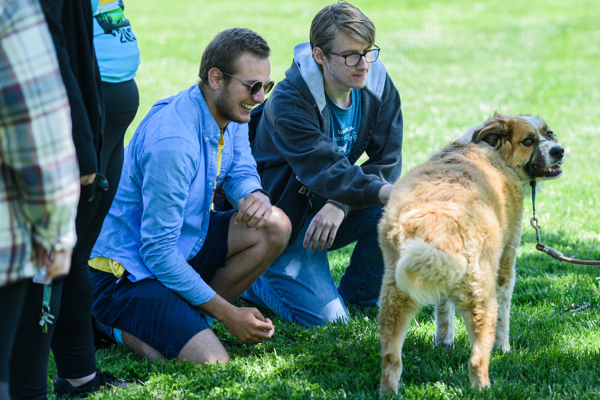 Two students petting a dog