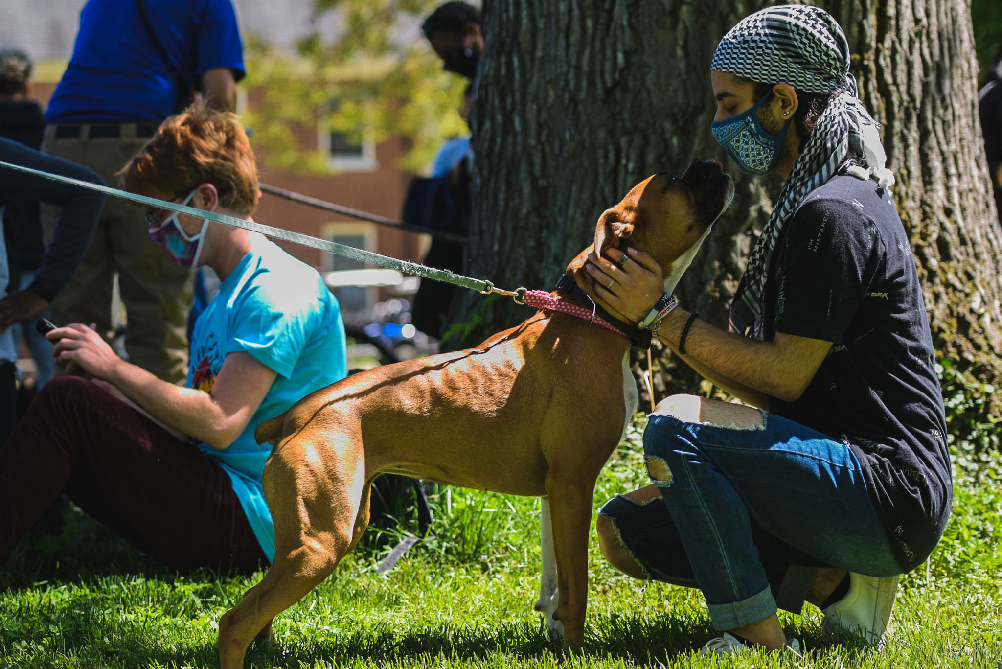 Student petting dog at destress event