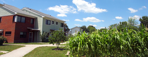 Ecovillage outside view