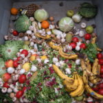 Photo of wasted produce