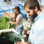 Berea college students planting in the green house