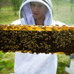 Student working in Bee Keeping