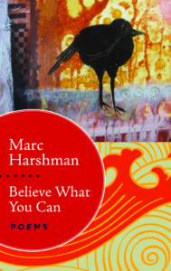 Book cover: Believe What You Can