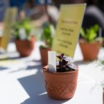 Close up shot of a pot of basil