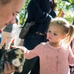 Child petting Bunny Sanders