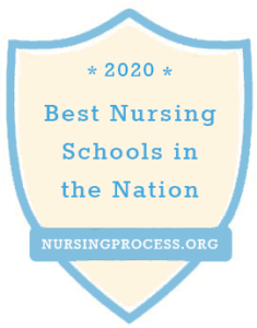 NursingProcess.org best nursing schools in the nation badge 2020